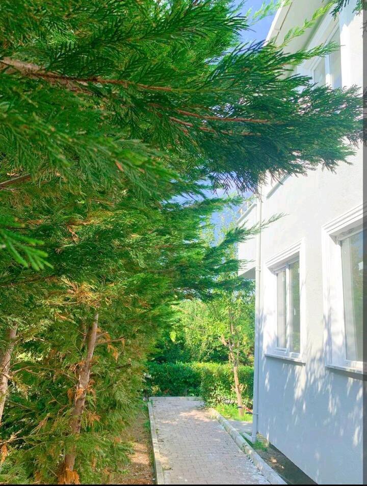 Ahmet Teacher Hotel, 5 Minutes From The Airport Arnavutkoy Exterior photo